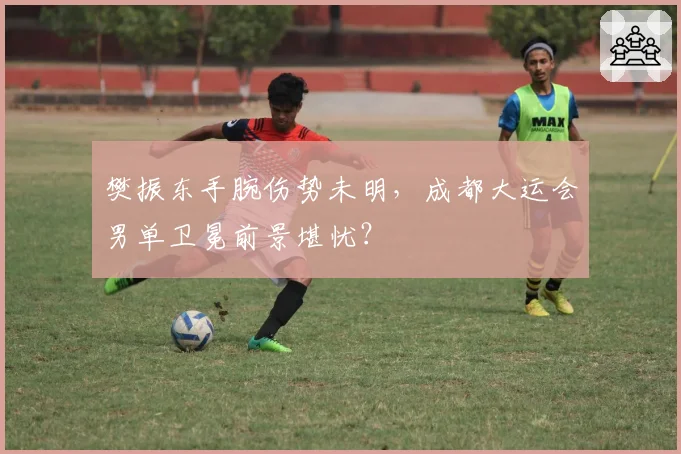 樊振东手腕伤势未明,成都大运会男单卫冕前景堪忧?
