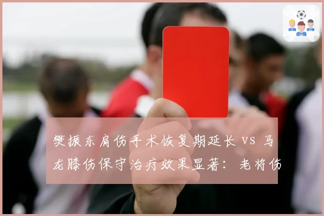 樊振东肩伤手术恢复期延长 vs 马龙膝伤保守治疗效果显著：老将伤病管理折射新老交替