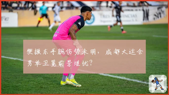 樊振东手腕伤势未明,成都大运会男单卫冕前景堪忧?